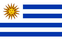 Bandeira 8